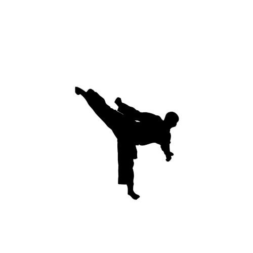 White Kendojo Martial Arts Centre Louth Logo